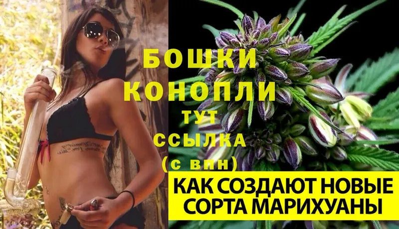 наркота  mega ссылка  Марихуана LSD WEED  Лодейное Поле 